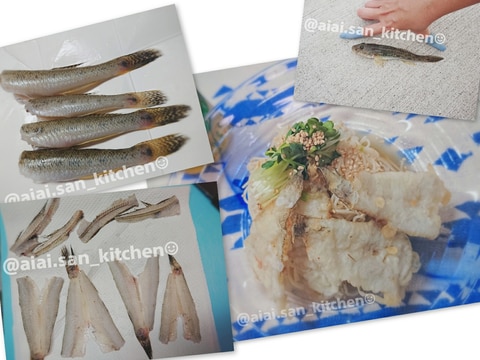 鯊 ハゼ 捌き方 さばき方 レシピ 作り方 By 愛愛さん 基本画像レシピ Instagramも同じ 楽天レシピ 鯊 ハゼ 捌き方 さばき方 レシピ 作り方 By 愛愛さん 基本画像レシピ Instagramも同じ 楽天レシピ